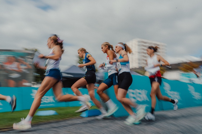 54816616682 46ec208d02 o