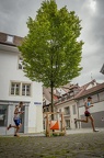 20240524-DSC00459